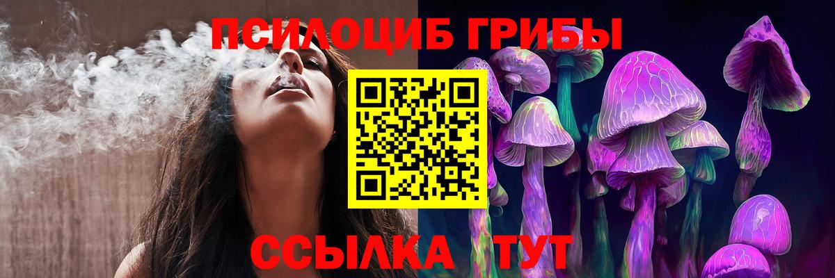 Галлюциногенные грибы Psilocybe Пермь